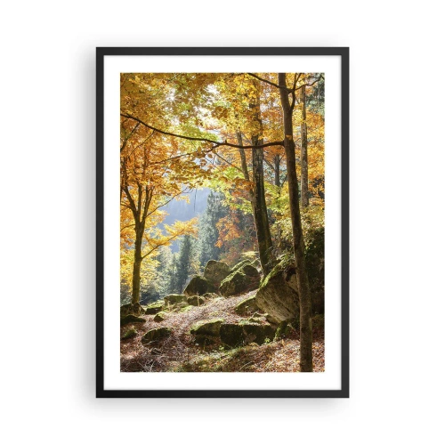 Affiche dans un cadre noir - Poster - Forêt d'automne avec rayons de soleil et pierres couvertes de mousse - 50x70cm - Il est temps de se détendre - Décoration murale moderne pour le salon et la chambre ARTTOR
