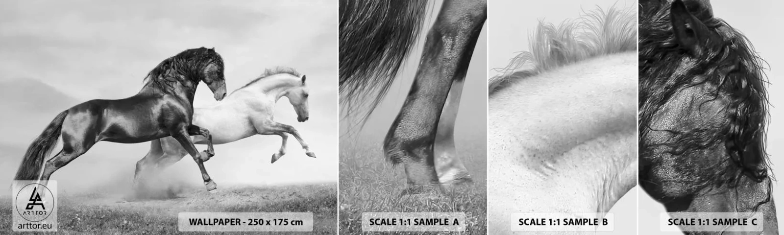 Échantillon De Papier Peint Standard Eco - Anges et démons - Animaux, Les chevaux, Nature - 100x30 cm