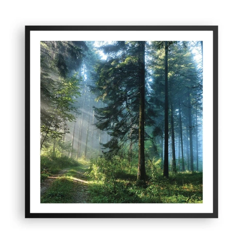 Affiche dans un cadre noir - Poster - Rayonnant le matin - 60x60 cm