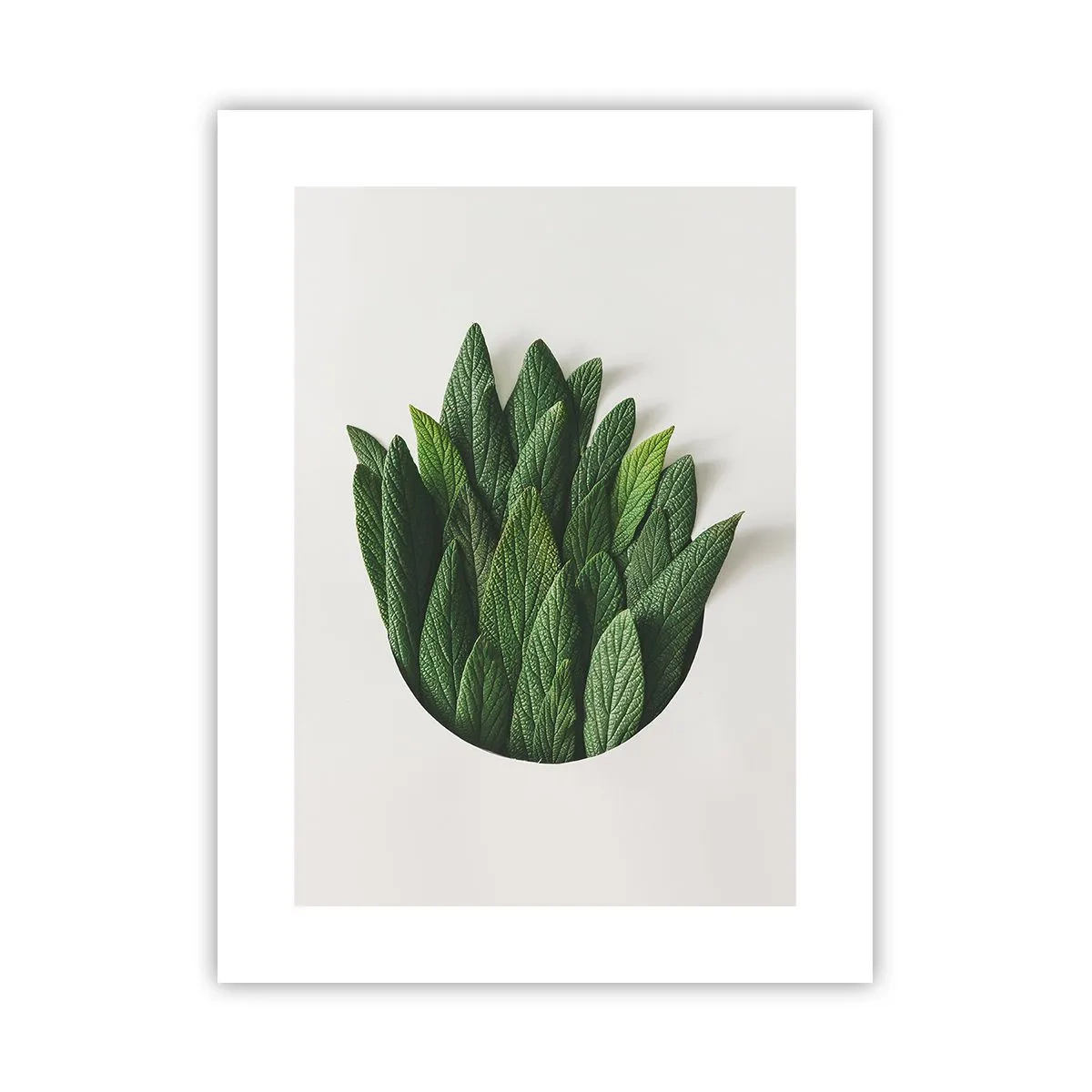 Affiche - Poster - Curiosité sans retenue - 30x40 cm