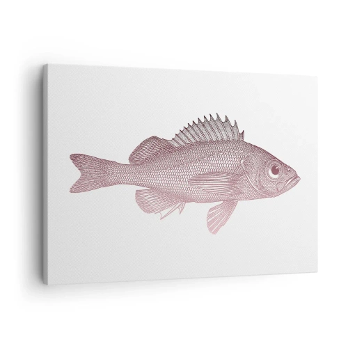 Impression sur toile - Image sur toile - Illustration détaillée d'un poisson sur fond blanc - 70x50cm - Poisson aux grands yeux - Décoration murale moderne pour le salon et la chambre ARTTOR
