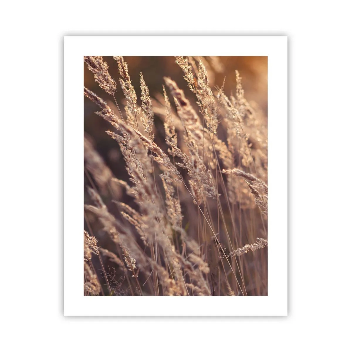 Affiche - Poster - Prêt à accueillir l'automne - 40x50 cm