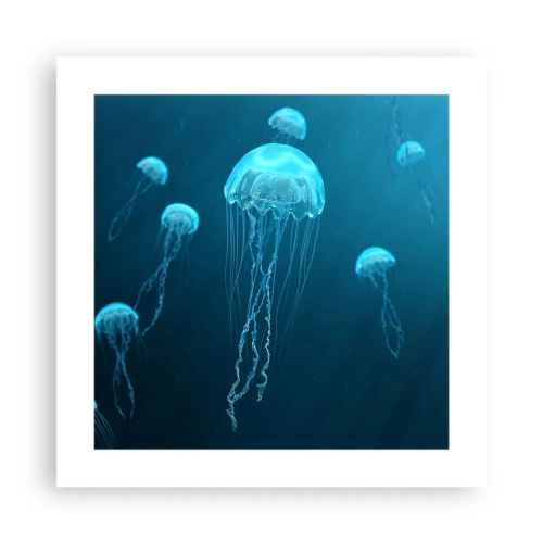Affiche - Poster - Danse océanique - 40x40 cm