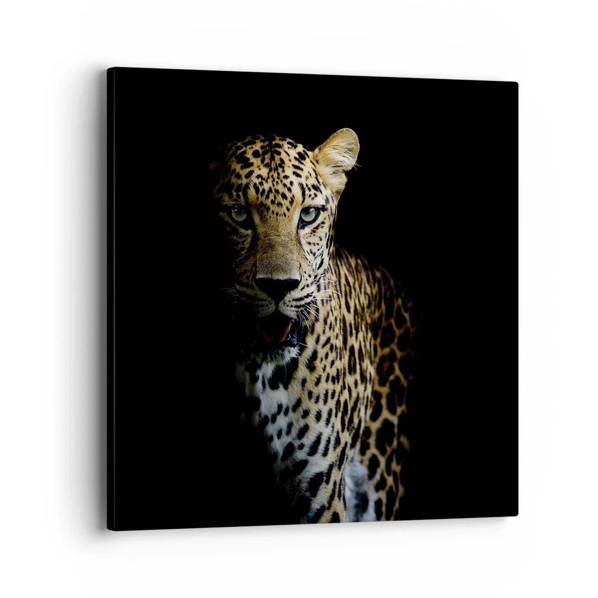 Impression sur toile - Image sur toile - Beauté sombre - 40x40 cm