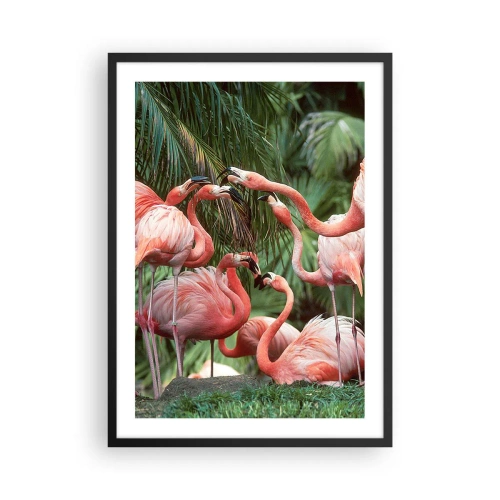Affiche dans un cadre noir - Poster - Flamants roses dans un décor exotique de palmiers - 50x70cm - Potins d'après-midi - Décoration murale moderne pour le salon et la chambre ARTTOR