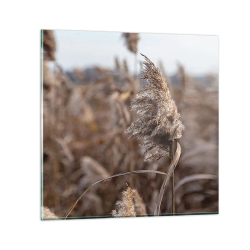 Impression sur verre - Image sur verre - Il est temps de s'envoler avec le vent - 50x50 cm