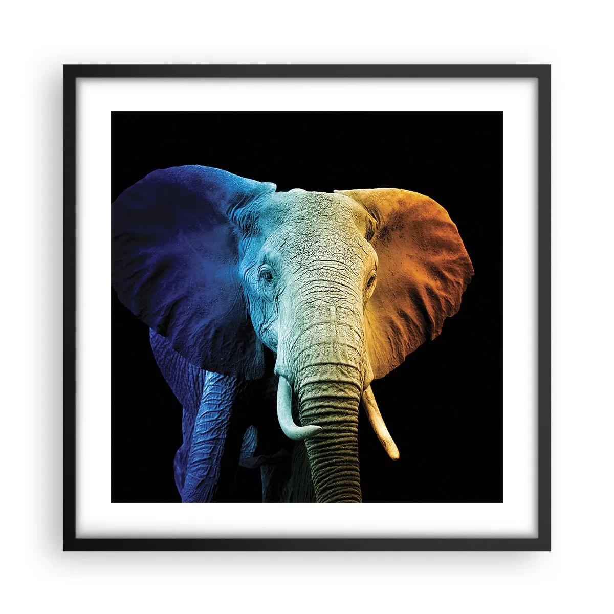 Affiche dans un cadre noir - Poster - Excentrique, pas bizarre - 50x50 cm