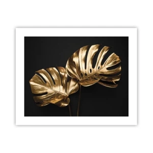 Affiche - Poster - Les trésors de la nature - 50x40 cm