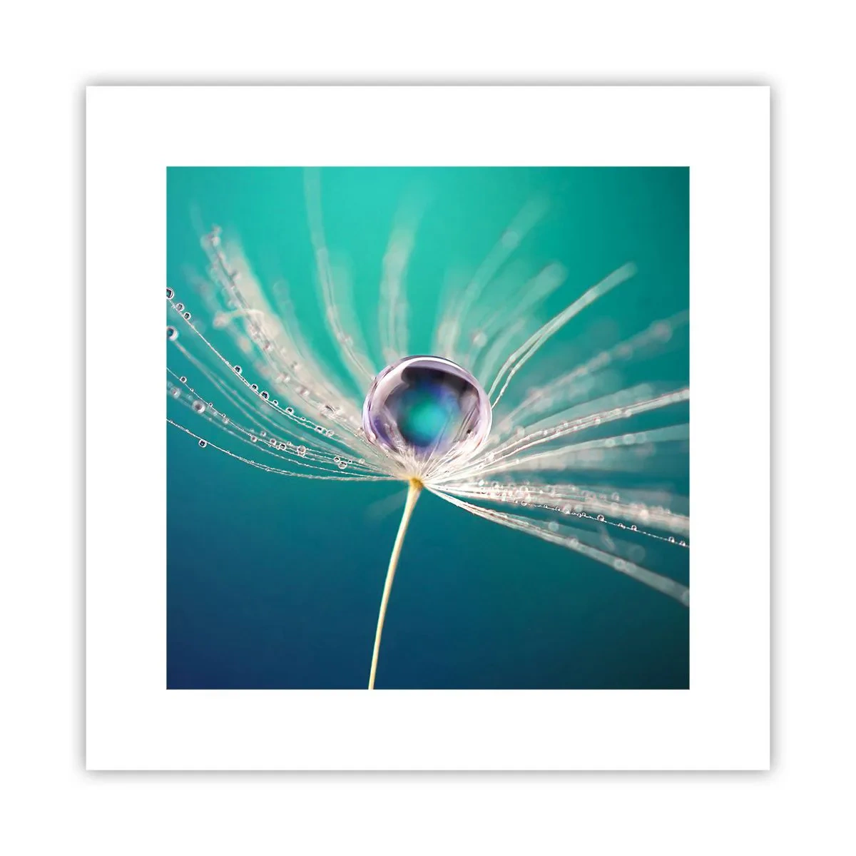 Affiche - Poster - Moment mystique - 30x30 cm