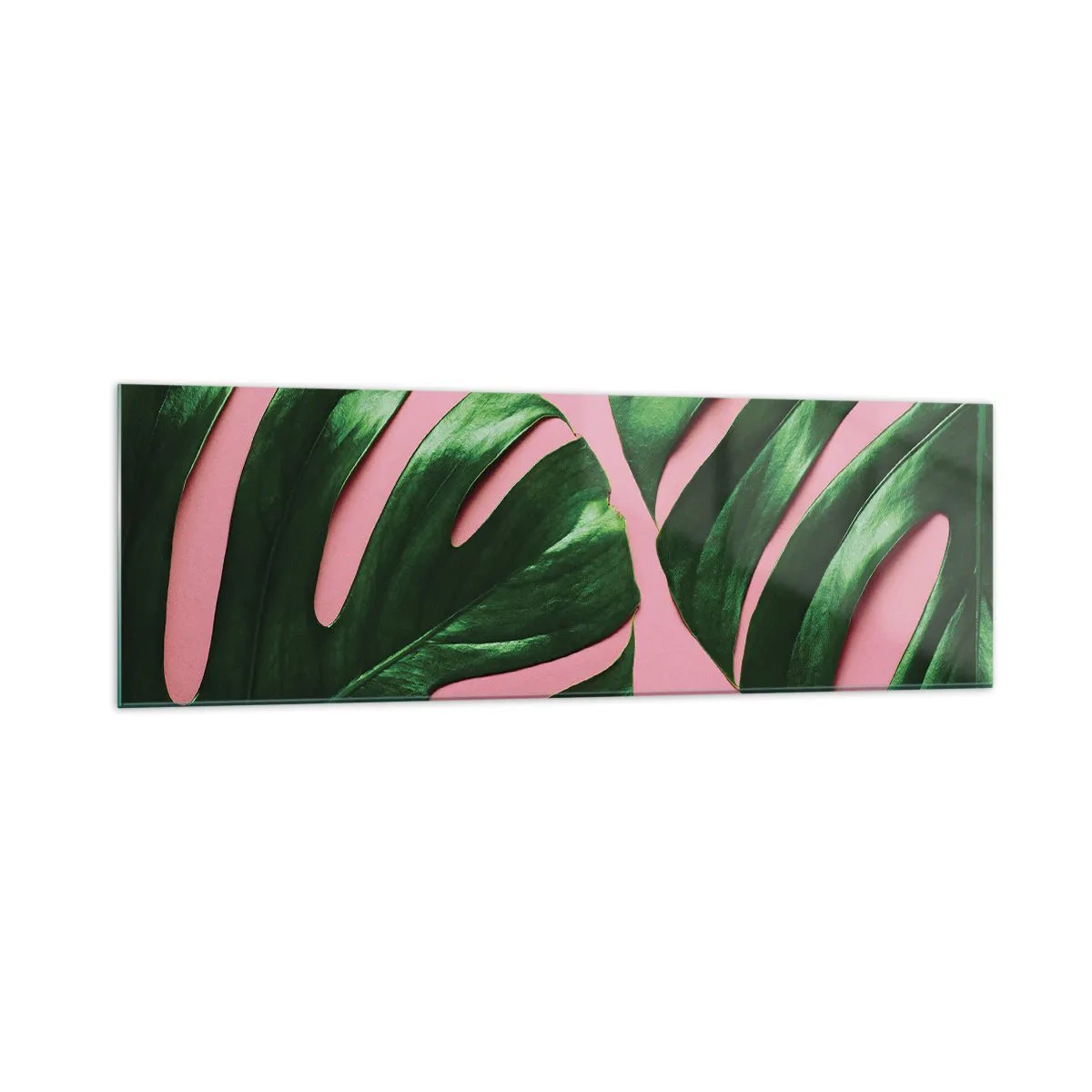 Impression sur verre - Image sur verre - Feuilles de monstera vertes sur fond rose - 160x50cm - Rendez-vous vert - Décoration murale moderne pour le salon et la chambre ARTTOR
