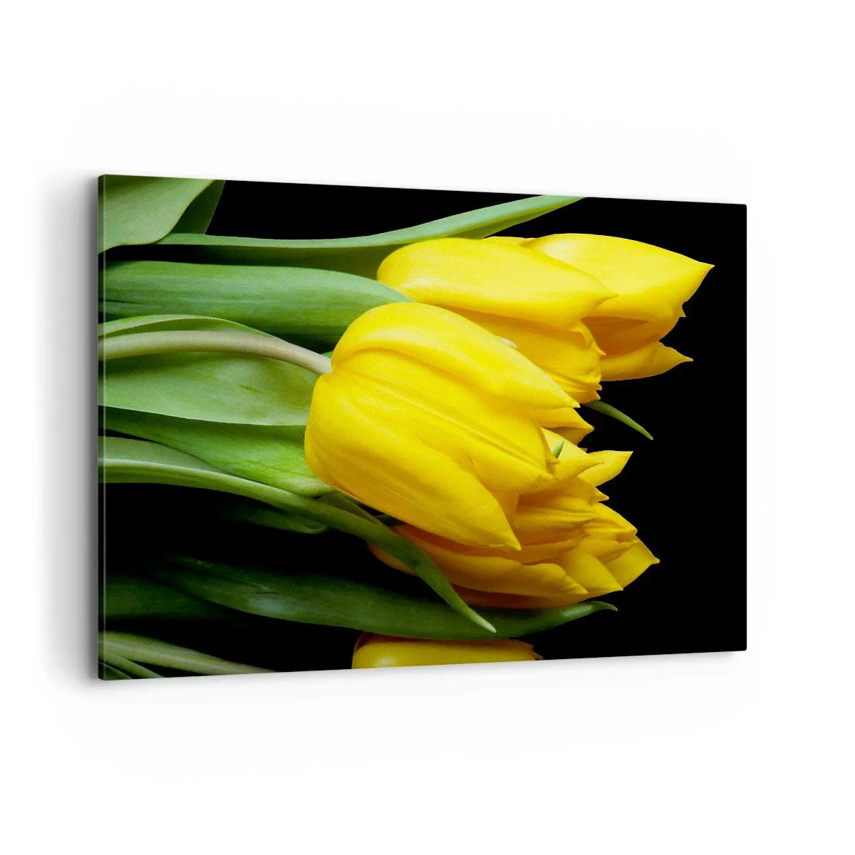 Impression sur toile - Image sur toile - Un bouquet de tulipes jaunes sur fond noir - 100x70cm - Lever de soleil pur - Décoration murale moderne pour le salon et la chambre ARTTOR