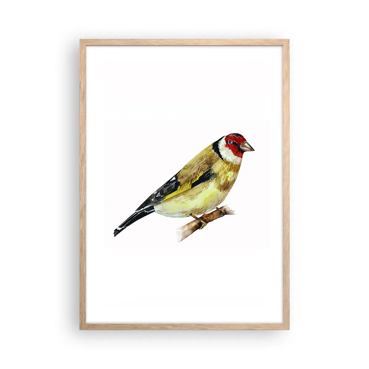 Affiche dans un chêne clair - Poster - Portrait d'oiseau - 50x70 cm