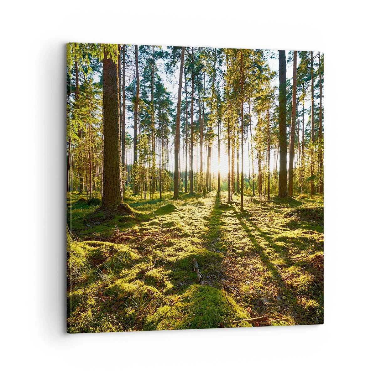 Impression sur toile - Image sur toile - … Derrière les sept forêts - 60x60 cm