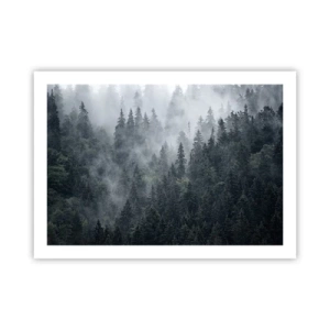 Affiche - Poster - Aube de la forêt - 70x50 cm