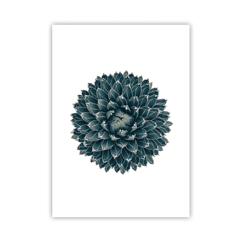 Affiche - Poster - Détail d'une succulente avec une disposition symétrique des feuilles - 50x70cm - Étoile du désert - Décoration murale moderne pour le salon et la chambre ARTTOR