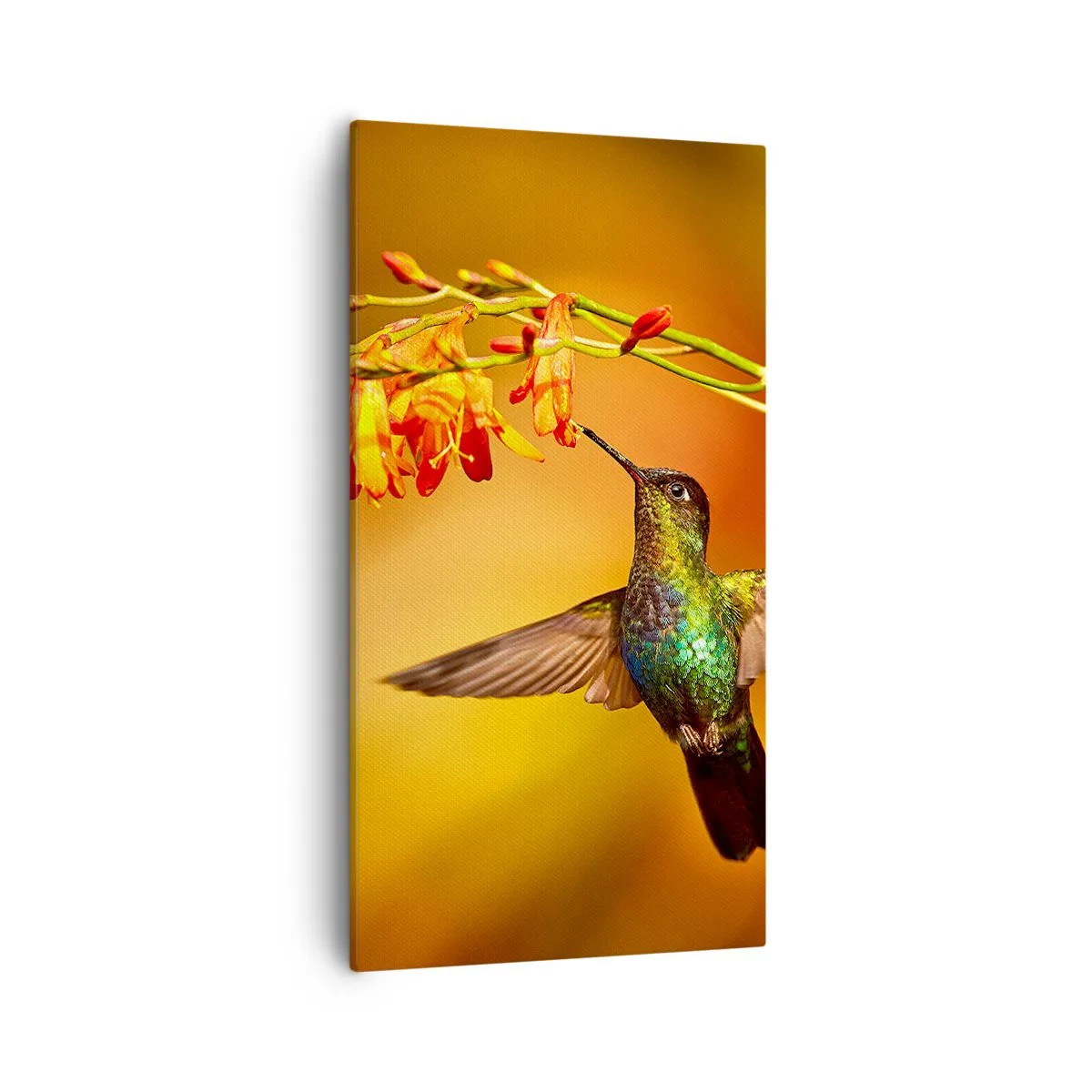 Impression sur toile - Image sur toile - Un messager de lumière selon les Mayas - 55x100 cm