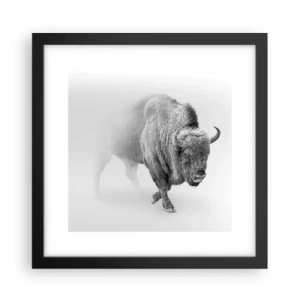 Affiche dans un cadre noir - Poster - Roi de la prairie - 30x30 cm