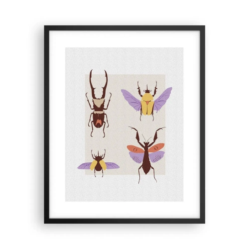 Affiche dans un cadre noir - Poster - Le monde des insectes - 40x50 cm