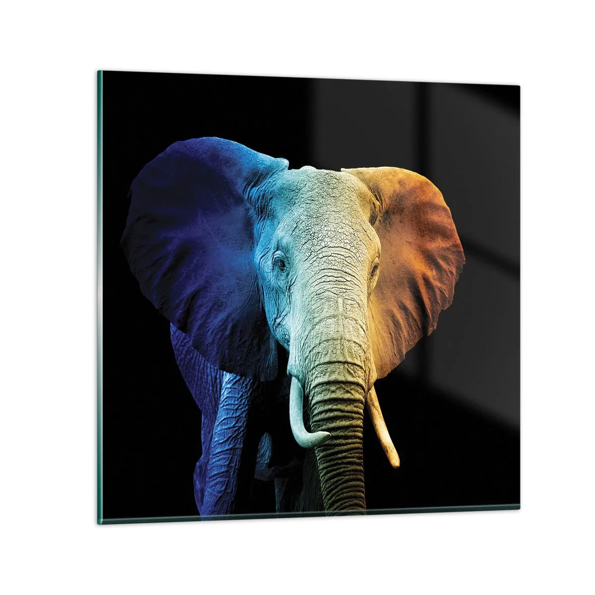 Impression sur verre - Image sur verre - Excentrique, pas bizarre - 60x60 cm