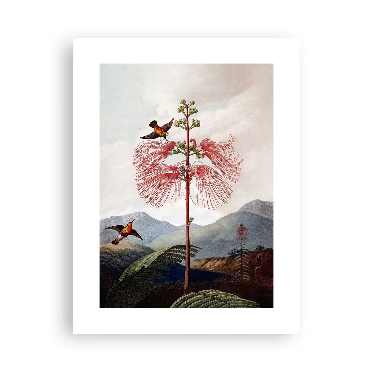 Affiche - Poster - Dans un paradis tropical - 30x40 cm