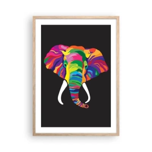 Affiche dans un chêne clair - Poster - L'éléphant qui aimait se baigner dans un arc-en-ciel - 50x70 cm