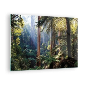 Impression sur verre - Image sur verre - Forêt tropicale verte avec des rayons de soleil - 70x50cm - Fable de la forêt - Décoration murale moderne pour le salon et la chambre ARTTOR
