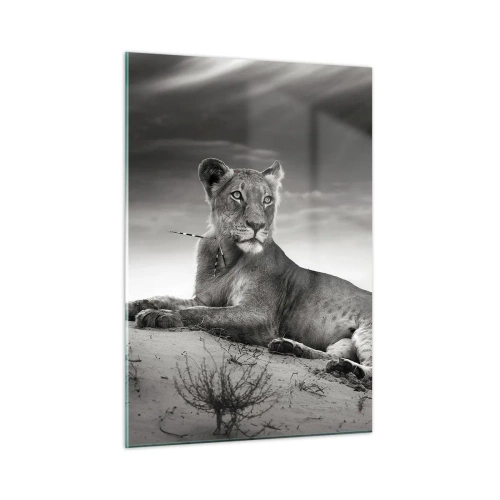 Impression sur verre - Image sur verre - Laissé gisant dans le désert dans un cadre noir et blanc - 50x70cm - La reine du désert reste - Décoration murale moderne pour le salon et la chambre ARTTOR