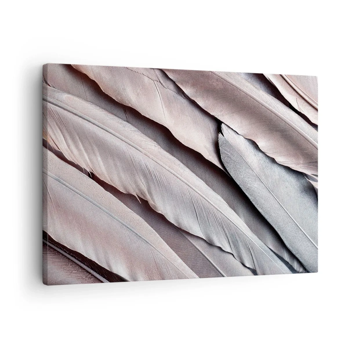 Impression sur toile - Image sur toile - Plumes délicates dans des tons subtils de gris et de beige - 70x50cm - En argent rose - Décoration murale moderne pour le salon et la chambre ARTTOR