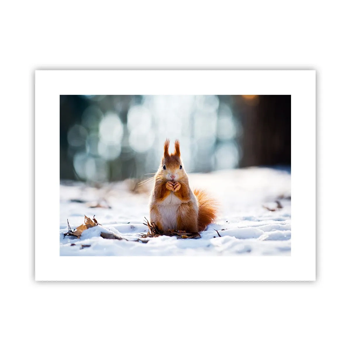 Affiche - Poster - Qu'est ce que tu regardes comme ça? - 40x30 cm