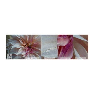 Échantillon de Papier Peint Premium Sand - Fraîcheur fleurissante - Fleur, Dahlia, Usine - 100x30 cm