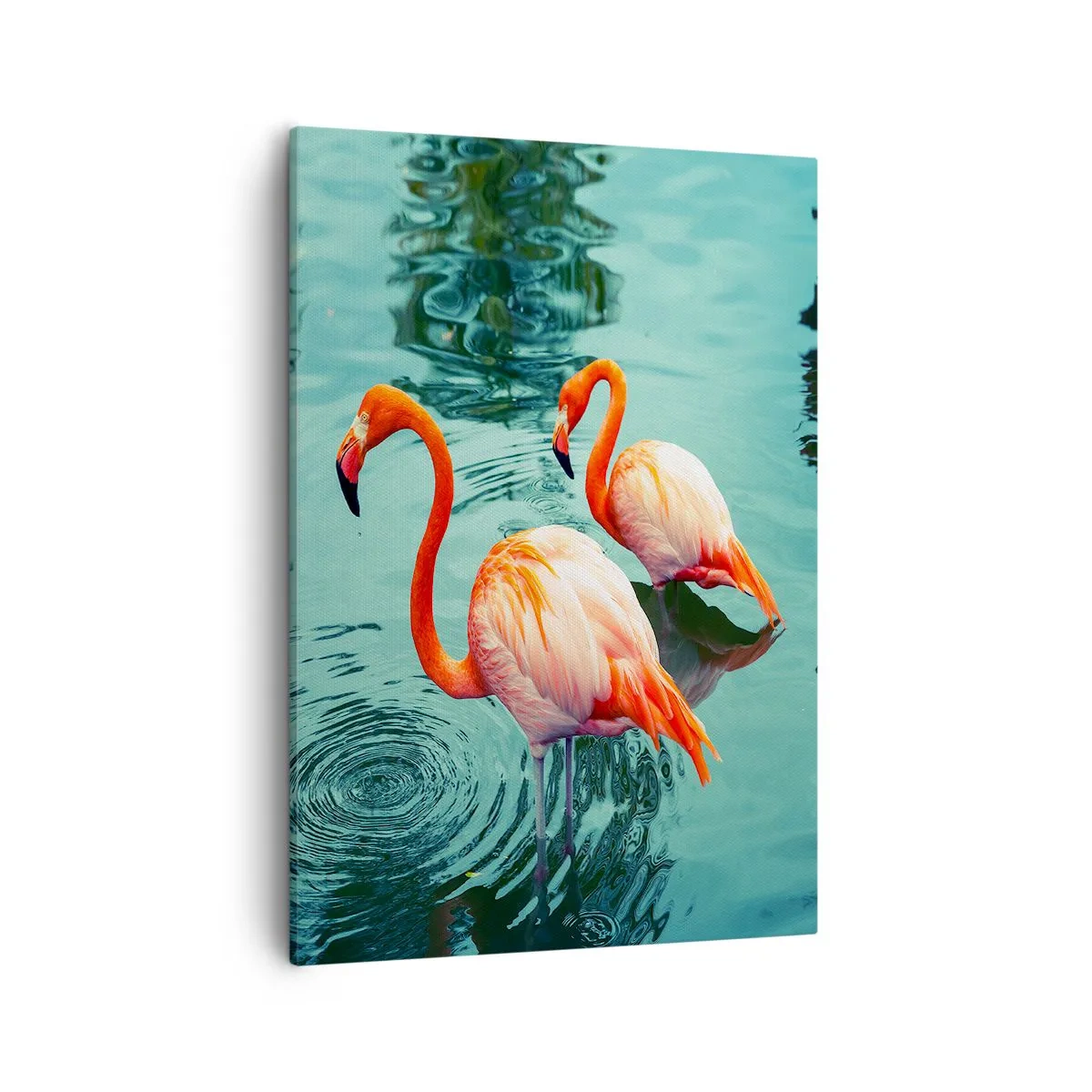 Impression sur toile - Image sur toile - Deux flamants roses dans l'eau calme reflétant leur environnement - 50x70cm - Nous sommes à la mode maintenant - Décoration murale moderne pour le salon et la chambre ARTTOR