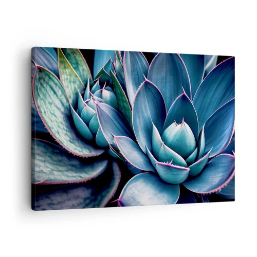Impression sur toile - Image sur toile - Agave dans des tons de bleu et de vert avec des accents roses - 70x50cm - Force vital - Décoration murale moderne pour le salon et la chambre ARTTOR