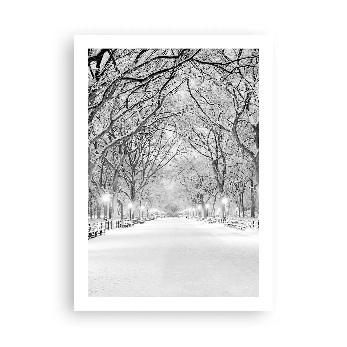 Affiche - Poster - Une allée d'arbres enneigés dans le parc en hiver - 50x70cm - Les quatres saisons – l’hiver - Décoration murale moderne pour le salon et la chambre ARTTOR