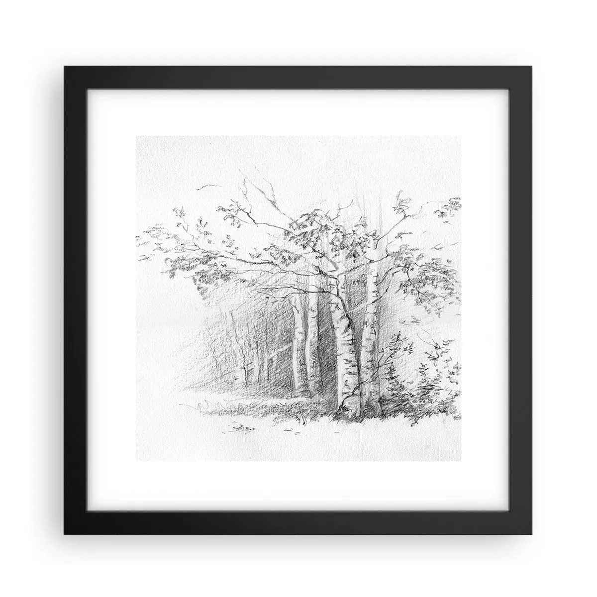 Affiche dans un cadre noir - Poster - Lumière d'une forêt de bouleaux - 30x30 cm