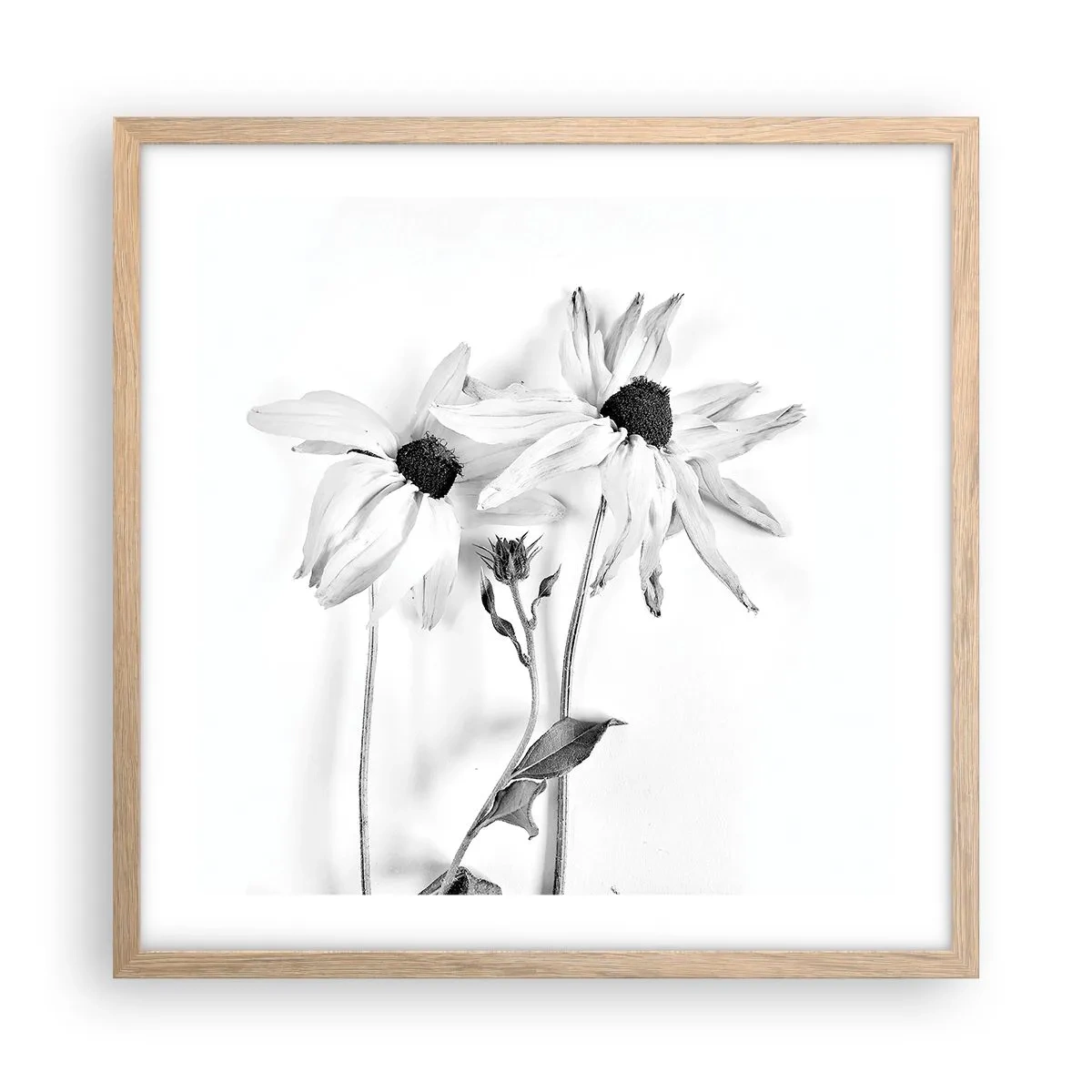 Affiche dans un chêne clair - Poster - Personne ne souhaite être seul - 50x50 cm