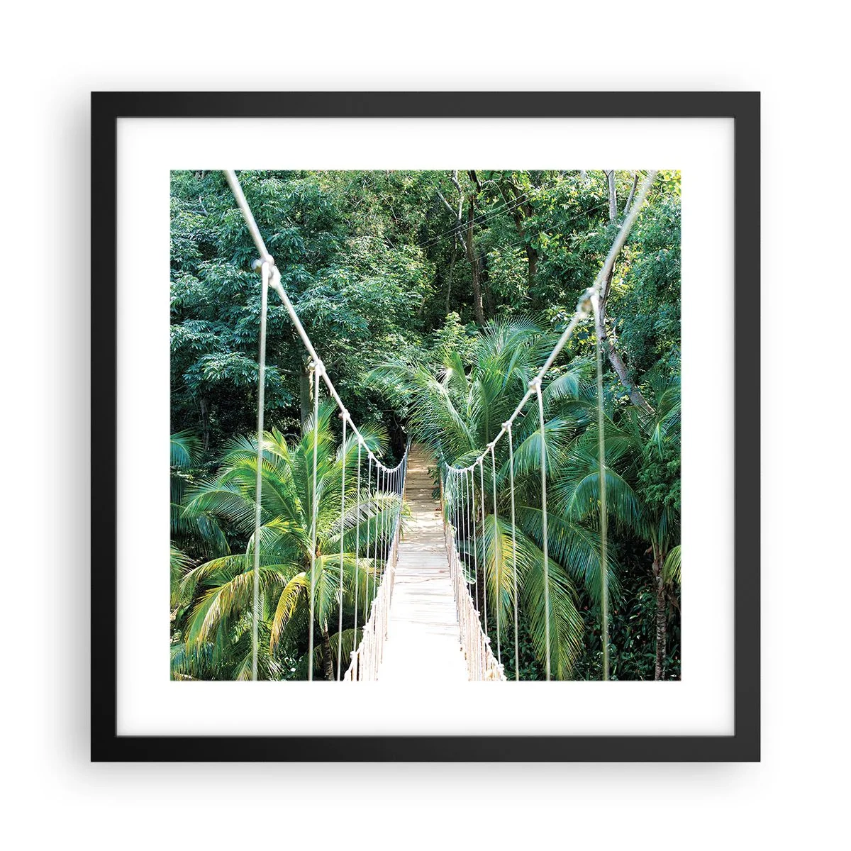 Affiche dans un cadre noir - Poster - Welcome to the jungle! - 40x40 cm
