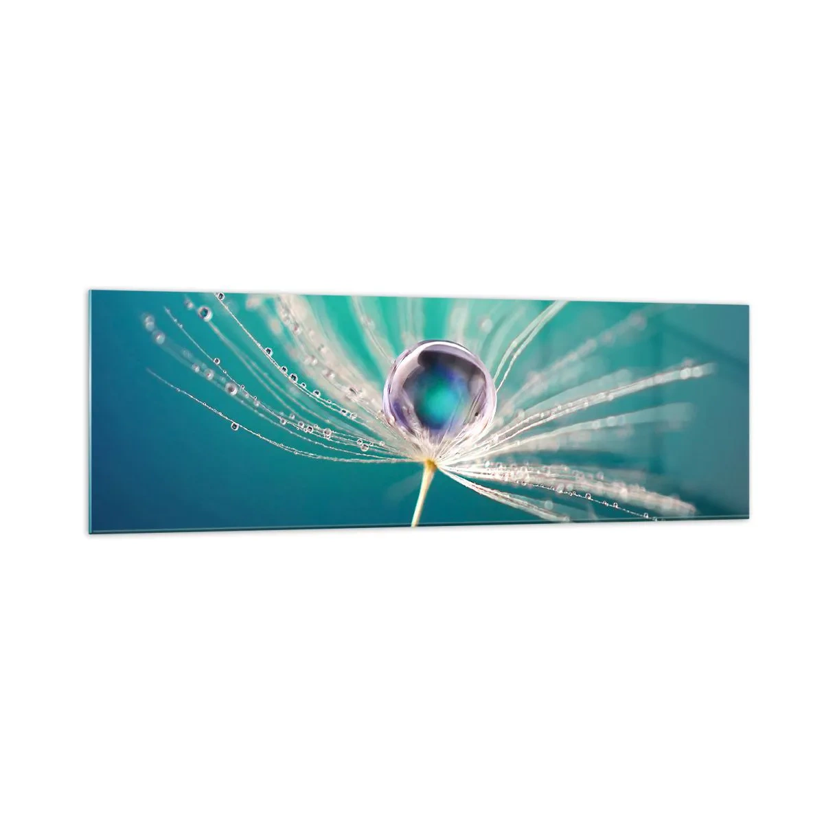 Impression sur verre - Image sur verre - Macro d'une goutte d'eau sur une délicate graine de pissenlit - 160x50cm - Moment mystique - Décoration murale moderne pour le salon et la chambre ARTTOR