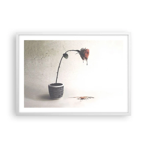 Affiche dans un cadre blanc - Poster - Rosa dolorosa - 70x50 cm