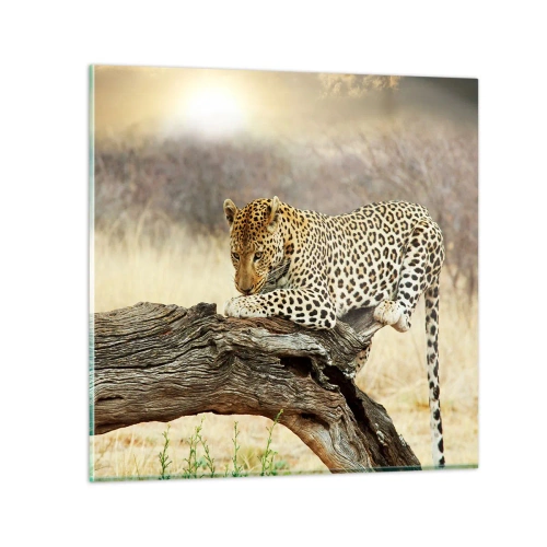 Impression sur verre - Image sur verre - Je suis ma propre route - 70x70 cm