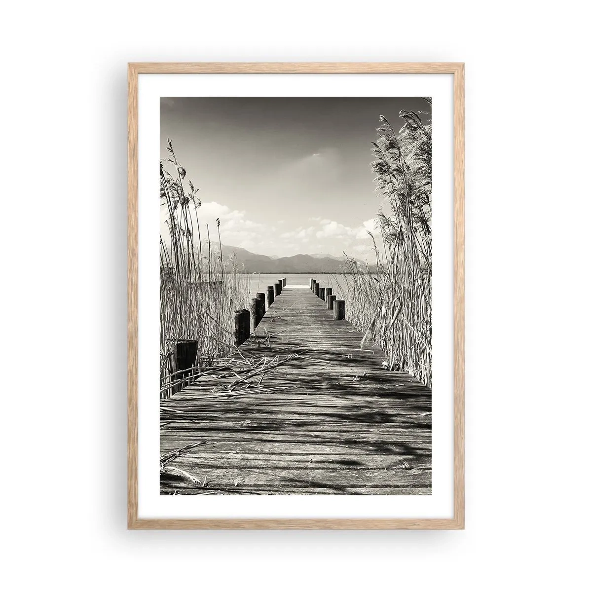 Affiche dans un chêne clair - Poster - Dans le calme de l'herbe - 50x70 cm