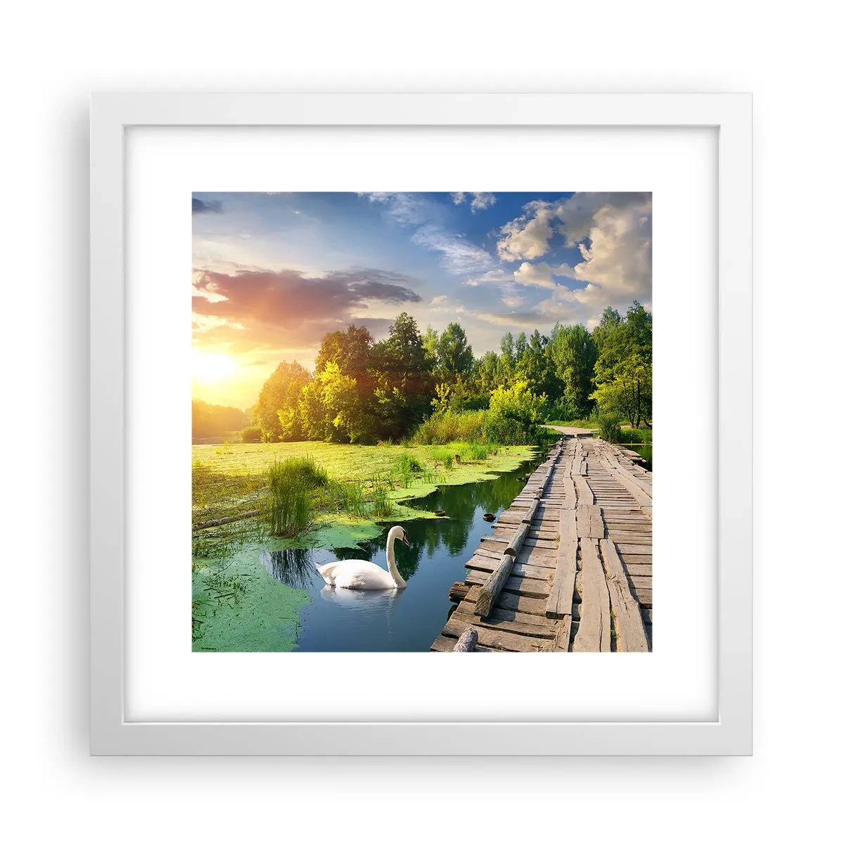 Affiche dans un cadre blanc - Poster - L'été, l'été partout - 30x30 cm