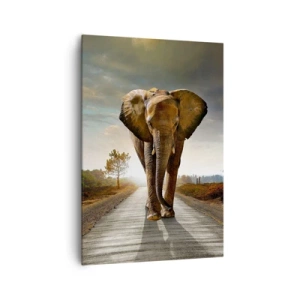 Impression sur toile - Image sur toile - Un éléphant marchant le long d'une route à travers un paysage au coucher du soleil - 70x100cm - Et pas du tout en porcelaine - Décoration murale moderne pour le salon et la chambre ARTTOR