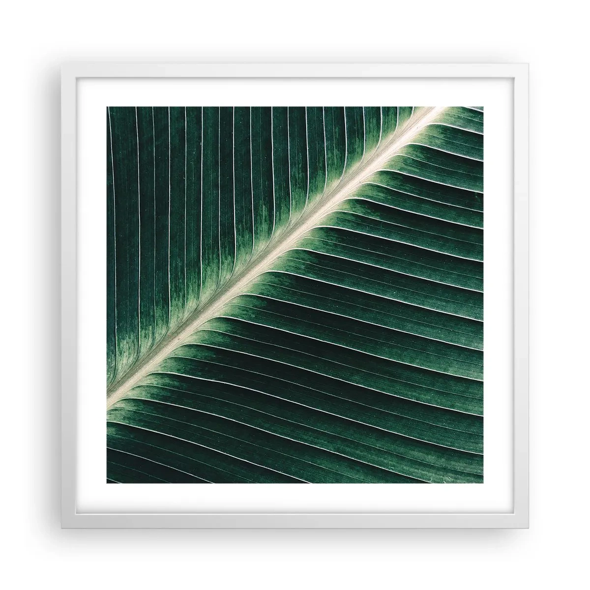 Affiche dans un cadre blanc - Poster - Le rythme de la nature - 50x50 cm