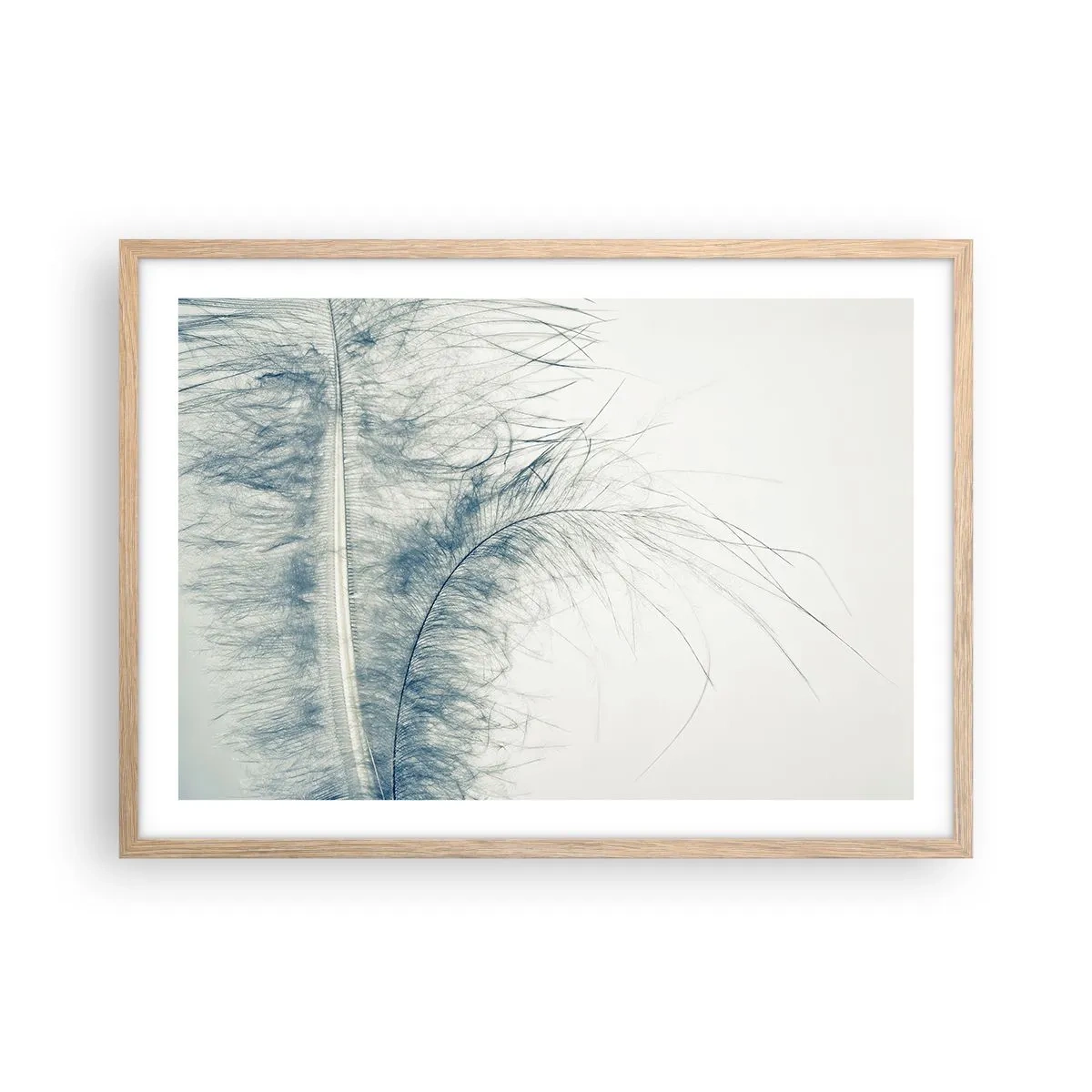 Affiche dans un chêne clair - Poster - Les sept natures - 70x50 cm