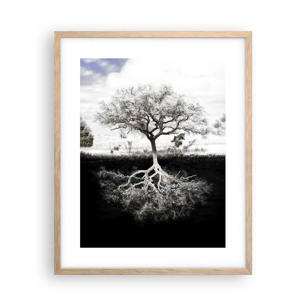 Affiche dans un chêne clair - Poster - Découvrir la nature du monde - 40x50 cm