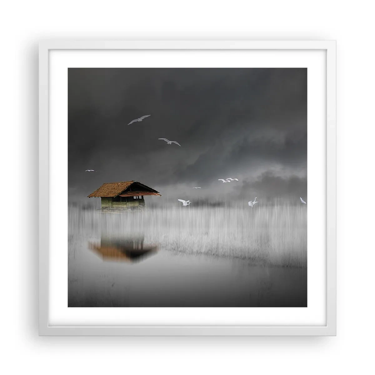 Affiche dans un cadre blanc - Poster - A l'abri de la pluie - 50x50 cm