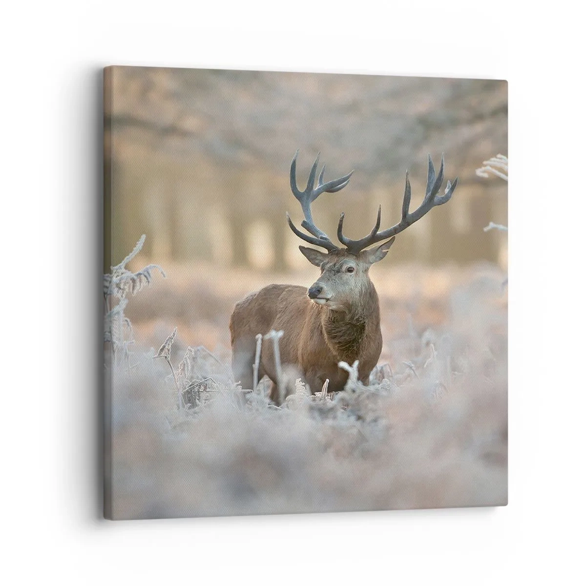 Impression sur toile - Image sur toile - Une matinée animée - 30x30 cm