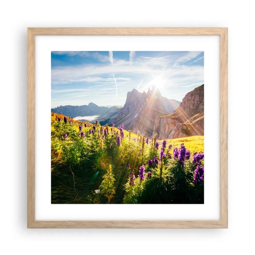 Affiche dans un chêne clair - Poster - La vie secrète des herbes - 40x40 cm