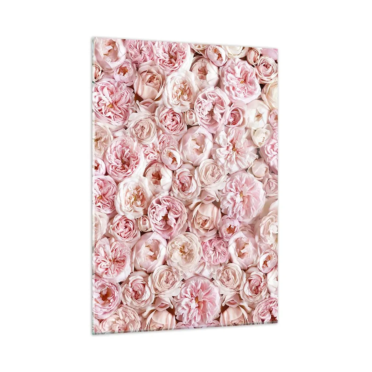 Impression sur verre - Image sur verre - Roses pastel dans une composition florale dense - 50x70cm - Un lit de roses - Décoration murale moderne pour le salon et la chambre ARTTOR