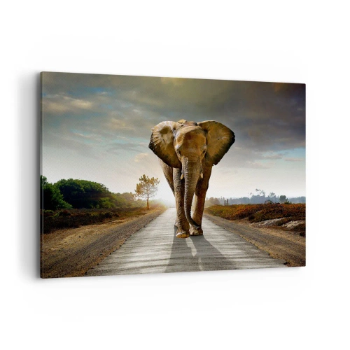 Impression sur toile - Image sur toile - Un éléphant marchant le long d'une route à travers un paysage au coucher du soleil - 100x70cm - Et pas du tout en porcelaine - Décoration murale moderne pour le salon et la chambre ARTTOR